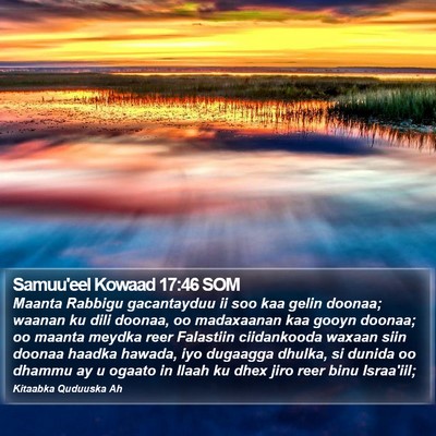 Samuu'eel Kowaad 17:46 SOM Bible Verse Image