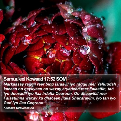 Samuu'eel Kowaad 17:52 SOM Bible Verse Image