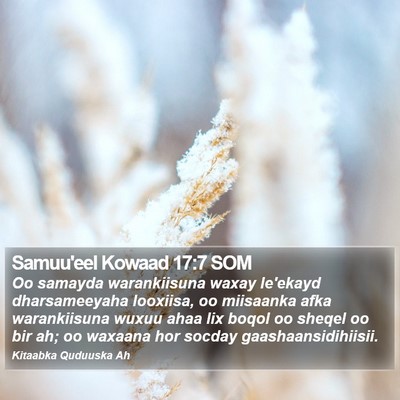 Samuu'eel Kowaad 17:7 SOM Bible Verse Image