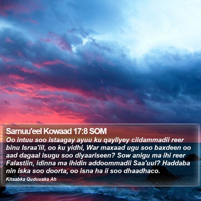 Samuu'eel Kowaad 17:8 SOM Bible Verse Image