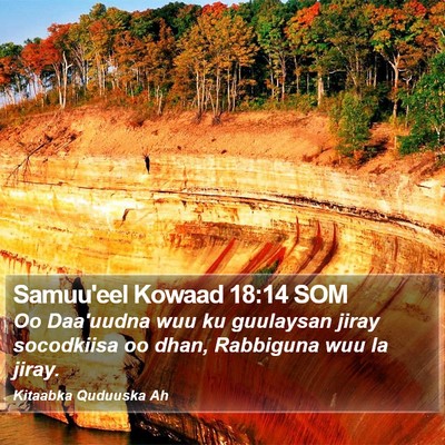 Samuu'eel Kowaad 18:14 SOM Bible Verse Image