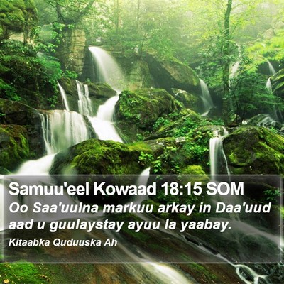 Samuu'eel Kowaad 18:15 SOM Bible Verse Image
