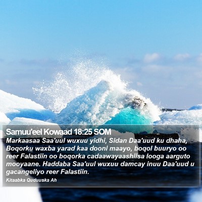 Samuu'eel Kowaad 18:25 SOM Bible Verse Image