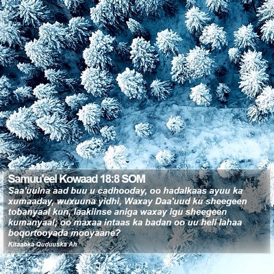 Samuu'eel Kowaad 18:8 SOM Bible Verse Image