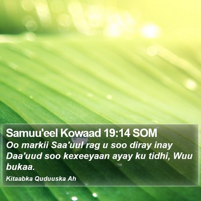 Samuu'eel Kowaad 19:14 SOM Bible Verse Image