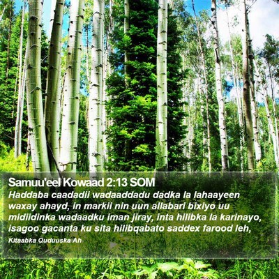 Samuu'eel Kowaad 2:13 SOM Bible Verse Image