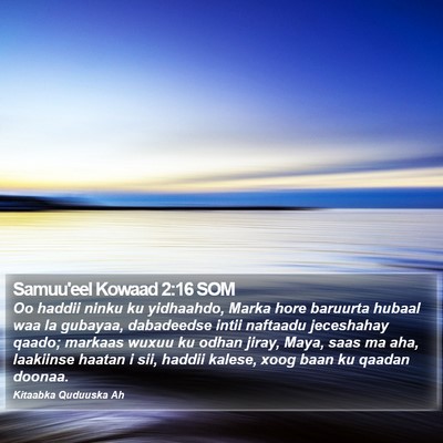 Samuu'eel Kowaad 2:16 SOM Bible Verse Image