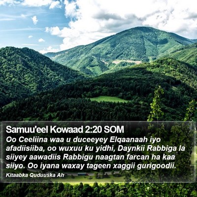 Samuu'eel Kowaad 2:20 SOM Bible Verse Image