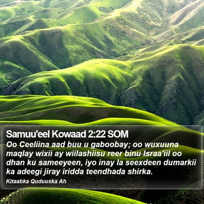 Samuu'eel Kowaad 2:22 SOM Bible Verse Image