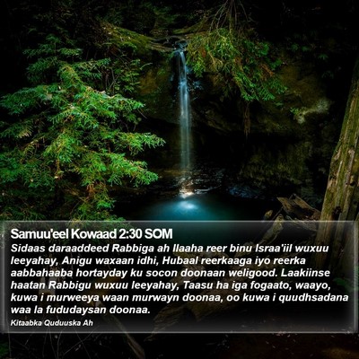Samuu'eel Kowaad 2:30 SOM Bible Verse Image