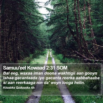 Samuu'eel Kowaad 2:31 SOM Bible Verse Image