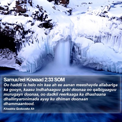 Samuu'eel Kowaad 2:33 SOM Bible Verse Image
