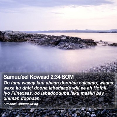 Samuu'eel Kowaad 2:34 SOM Bible Verse Image