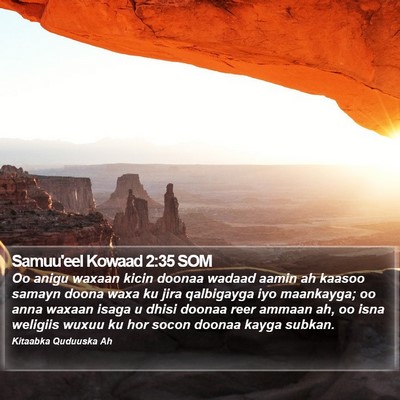 Samuu'eel Kowaad 2:35 SOM Bible Verse Image