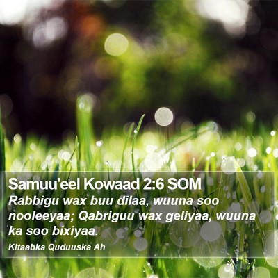 Samuu'eel Kowaad 2:6 SOM Bible Verse Image