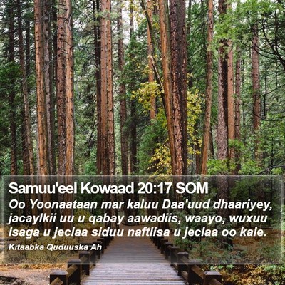 Samuu'eel Kowaad 20:17 SOM Bible Verse Image