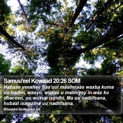 Samuu'eel Kowaad 20:26 SOM Bible Verse Image