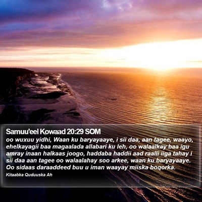 Samuu'eel Kowaad 20:29 SOM Bible Verse Image