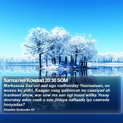 Samuu'eel Kowaad 20:30 SOM Bible Verse Image