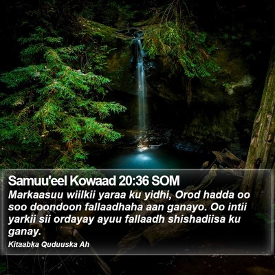 Samuu'eel Kowaad 20:36 SOM Bible Verse Image
