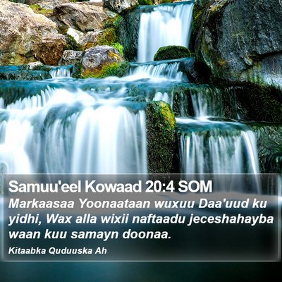 Samuu'eel Kowaad 20:4 SOM Bible Verse Image