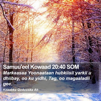 Samuu'eel Kowaad 20:40 SOM Bible Verse Image