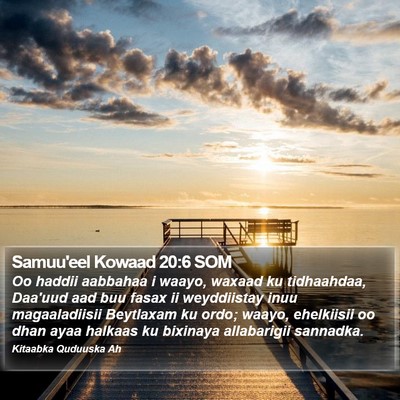 Samuu'eel Kowaad 20:6 SOM Bible Verse Image