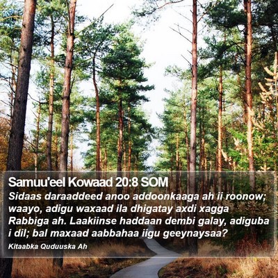 Samuu'eel Kowaad 20:8 SOM Bible Verse Image