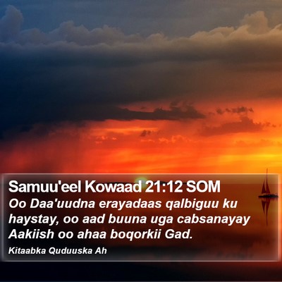 Samuu'eel Kowaad 21:12 SOM Bible Verse Image