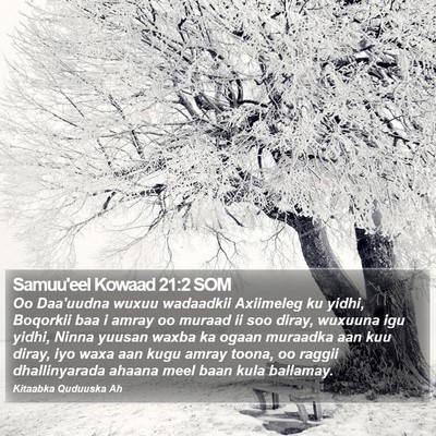 Samuu'eel Kowaad 21:2 SOM Bible Verse Image