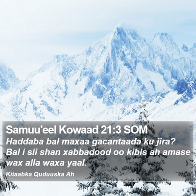 Samuu'eel Kowaad 21:3 SOM Bible Verse Image