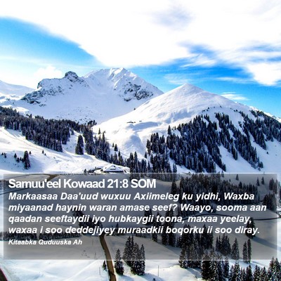 Samuu'eel Kowaad 21:8 SOM Bible Verse Image
