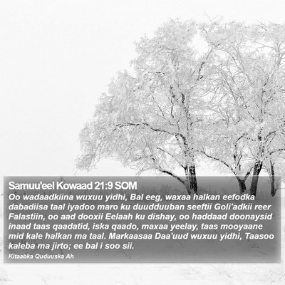 Samuu'eel Kowaad 21:9 SOM Bible Verse Image