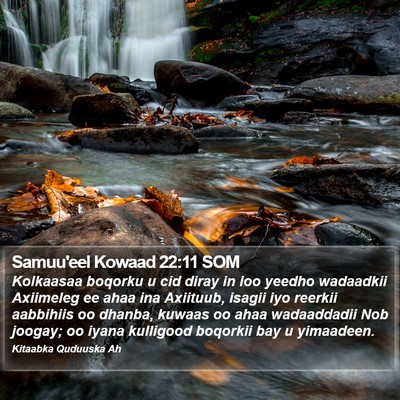 Samuu'eel Kowaad 22:11 SOM Bible Verse Image