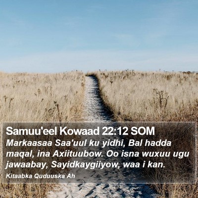 Samuu'eel Kowaad 22:12 SOM Bible Verse Image