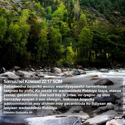 Samuu'eel Kowaad 22:17 SOM Bible Verse Image