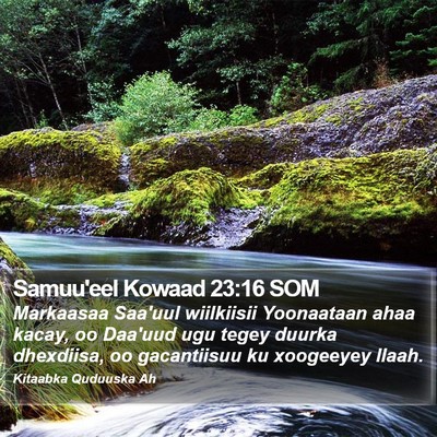 Samuu'eel Kowaad 23:16 SOM Bible Verse Image