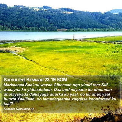 Samuu'eel Kowaad 23:19 SOM Bible Verse Image