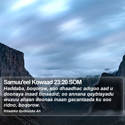 Samuu'eel Kowaad 23:20 SOM Bible Verse Image