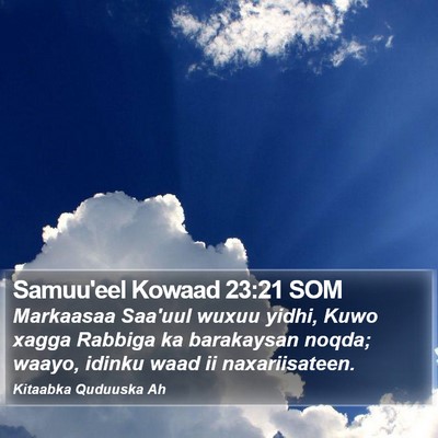 Samuu'eel Kowaad 23:21 SOM Bible Verse Image
