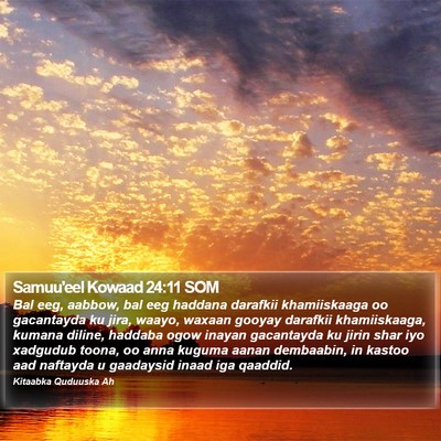 Samuu'eel Kowaad 24:11 SOM Bible Verse Image