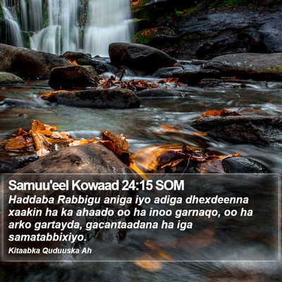 Samuu'eel Kowaad 24:15 SOM Bible Verse Image