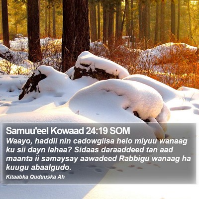 Samuu'eel Kowaad 24:19 SOM Bible Verse Image