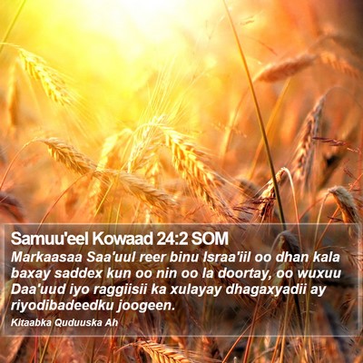 Samuu'eel Kowaad 24:2 SOM Bible Verse Image
