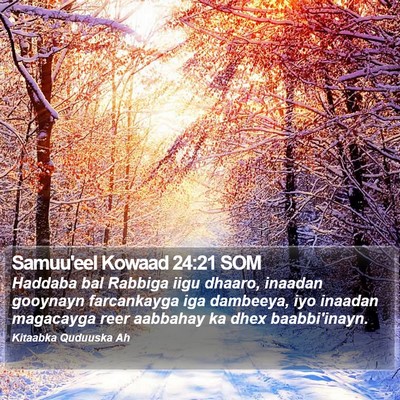 Samuu'eel Kowaad 24:21 SOM Bible Verse Image