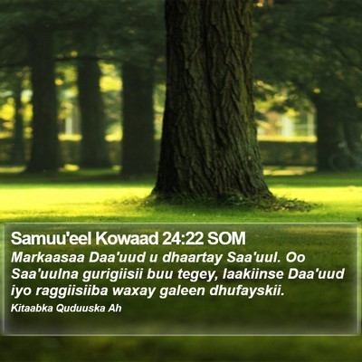 Samuu'eel Kowaad 24:22 SOM Bible Verse Image