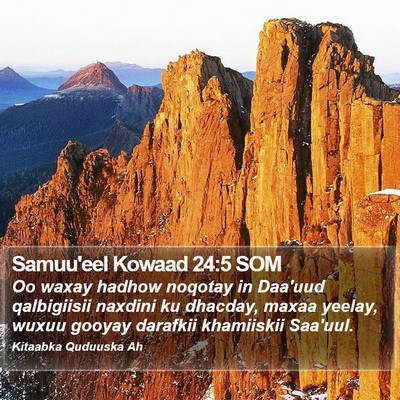 Samuu'eel Kowaad 24:5 SOM Bible Verse Image