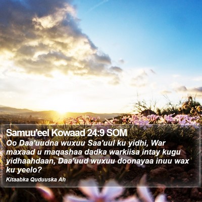 Samuu'eel Kowaad 24:9 SOM Bible Verse Image