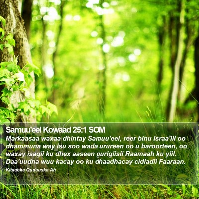 Samuu'eel Kowaad 25:1 SOM Bible Verse Image
