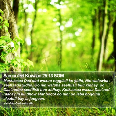 Samuu'eel Kowaad 25:13 SOM Bible Verse Image